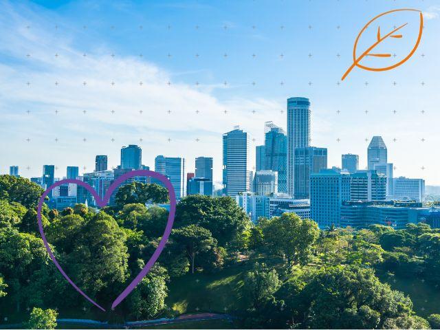 Tóner Kyocera TK-5372 Cyan Original MA3500CIX